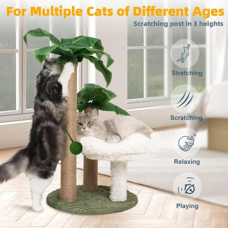 Palma Scratcher with Bed and Toys – Large Cats
