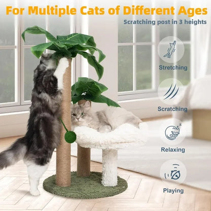 Palma Scratcher with Bed and Toys – Large Cats