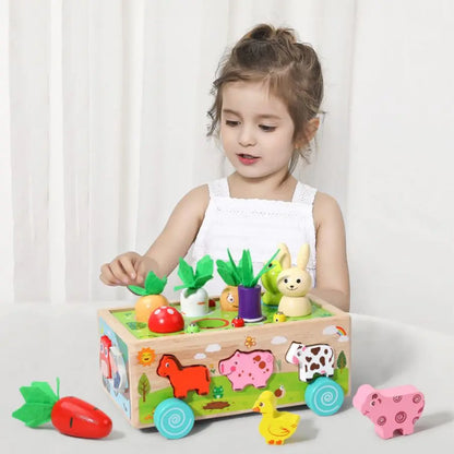 Wooden Animal Shape Sorter – Montessori Toy for Kids