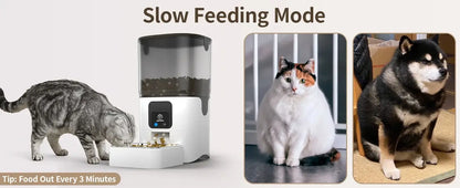 Smart cat feeder in slow feeding mode with a cat and a Shiba Inu dog, promoting healthy eating habits for pets.