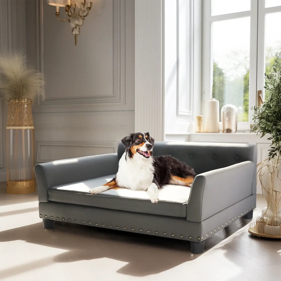 Luxury Raised Sofa for Dogs – Microfiber Leather and Cushion