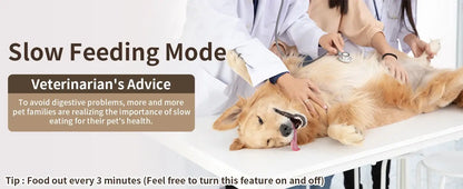 Veterinarian providing advice on slow feeding mode for pets to promote better digestion and health.