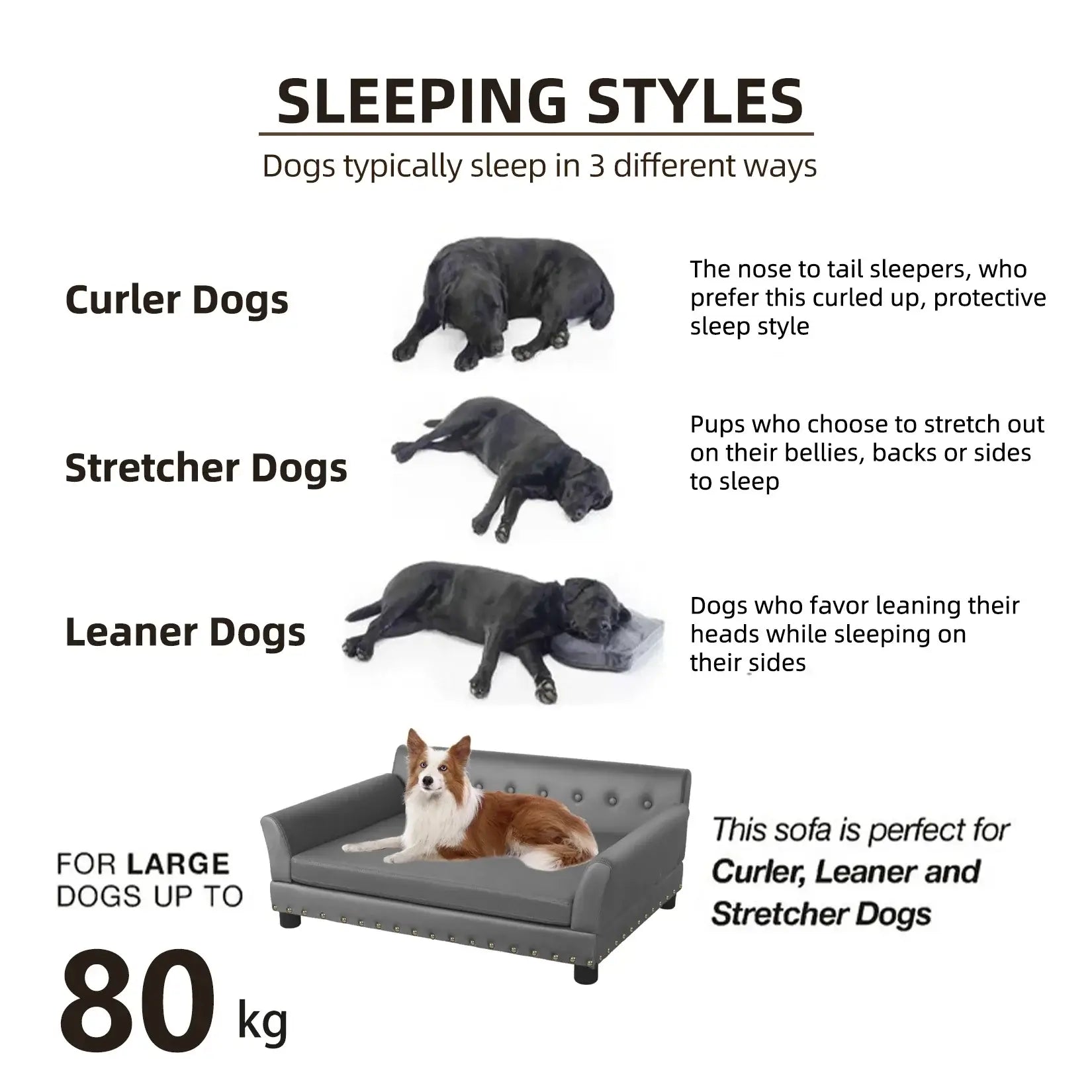 Luxury Raised Sofa for Dogs – Microfiber Leather and Cushion