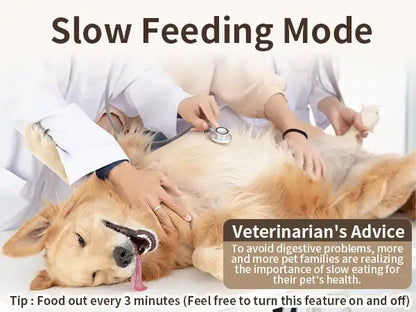 Golden retriever in slow feeding mode during veterinarian consultation, emphasizing the importance of slow eating for pet health.