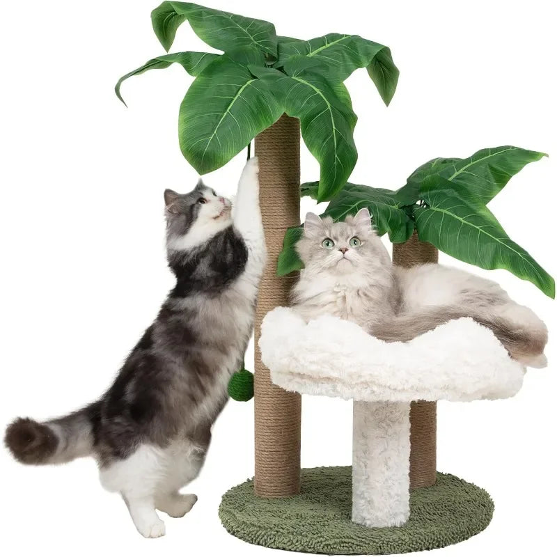 Palma Scratcher with Bed and Toys – Large Cats