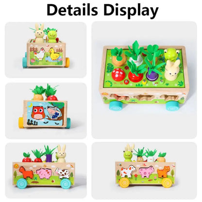 Wooden Animal Shape Sorter – Montessori Toy for Kids