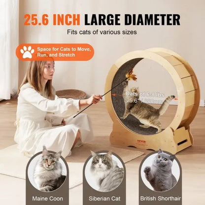 Large Cat Exercise Wheel – Indoor Treadmill w/ Carpet