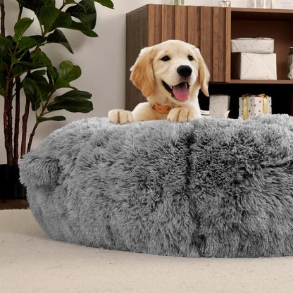 Cama Gigante Estilo Perro – Para Adultos, Niños y Mascotas