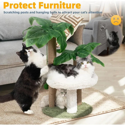 Palma Scratcher with Bed and Toys – Large Cats