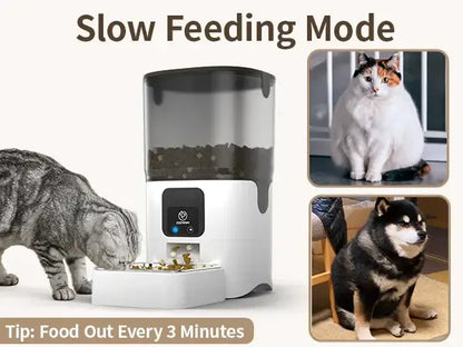Smart WiFi cat feeder in slow feeding mode with cats and a dog nearby, showing easy meal access every 3 minutes.