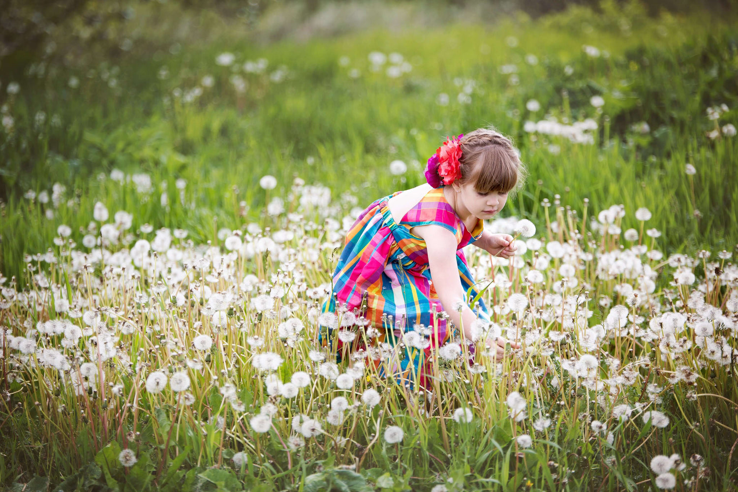 View details for child-picking-dandelions-in-field_50x50.jpg child-picking-dandelions-in-field